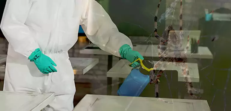 Why Buyers Still Want Homes With Pest Infestations in Grand Rapids, MI?