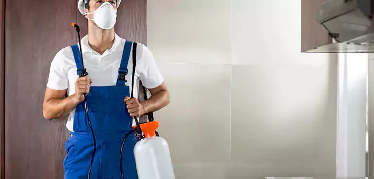 Why Grand Rapids Homeowners Choose Us When Pests Make Selling Difficult