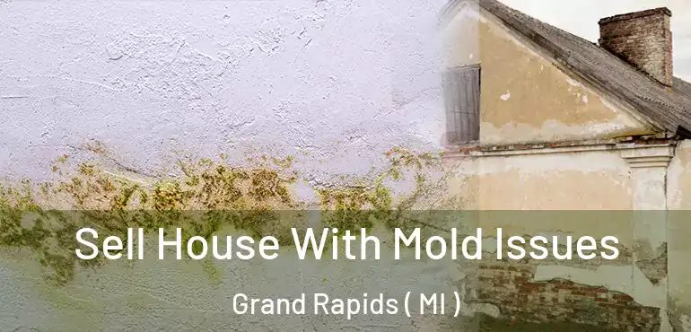  Sell House With Mold Issues Grand Rapids ( MI )